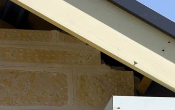 soffit repair Flintsham