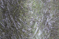 Flintsham fibreglass roof work